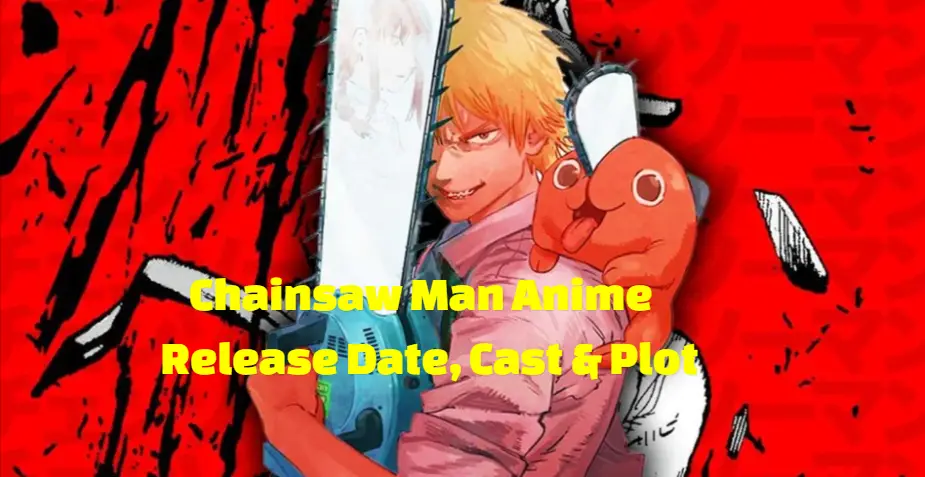 Chainsaw man anime